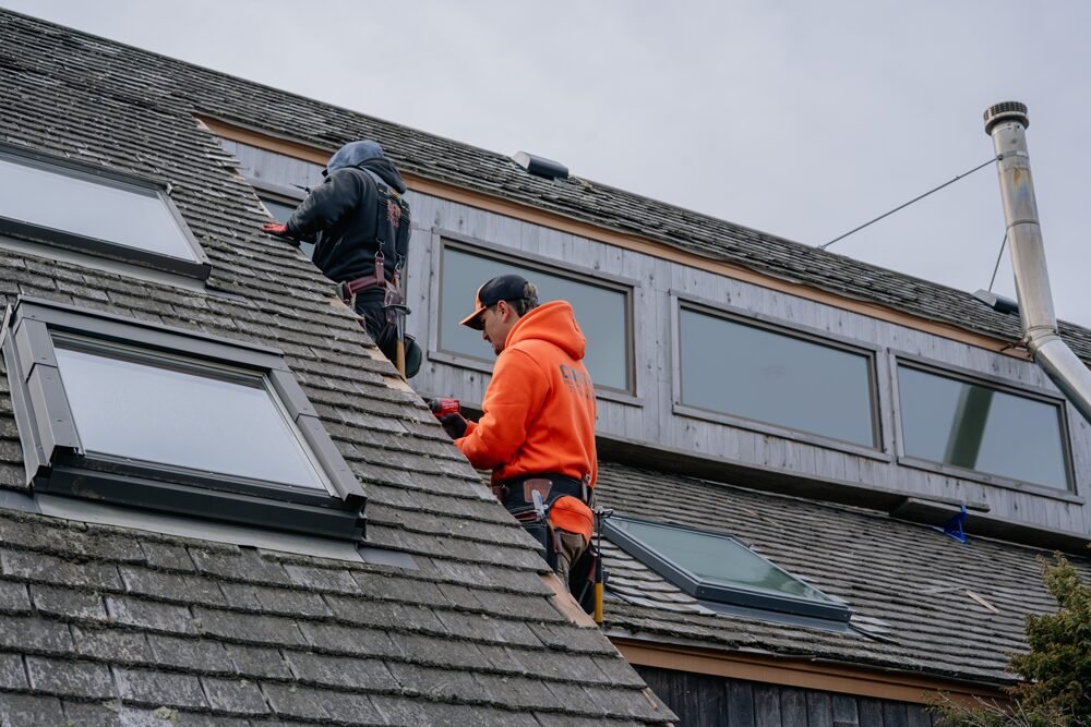 SKYLIGHTS & WINDOWS